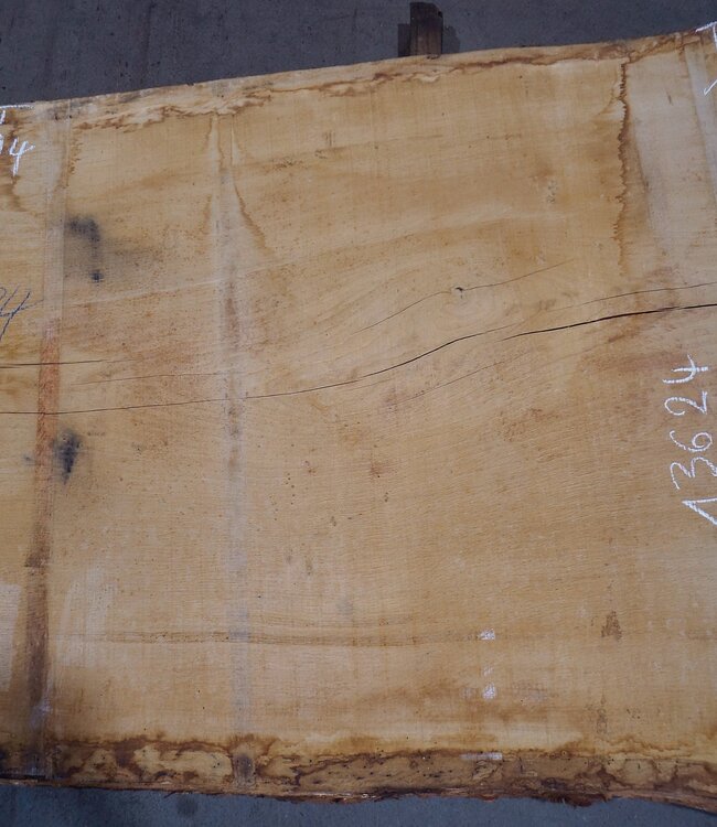 Oak table top, approx. 3150 x 840 x 80 mm, 13624