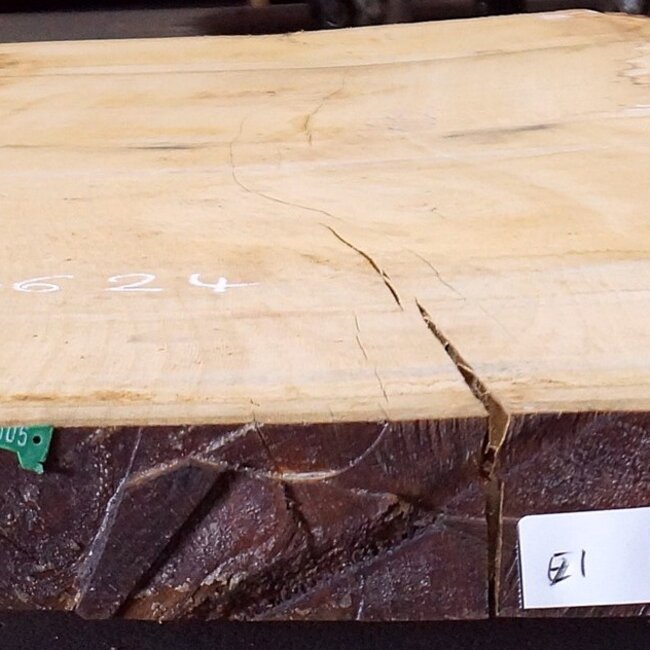 Oak table top, approx. 3150 x 840 x 80 mm, 13624