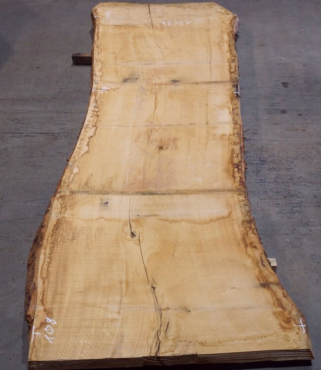 Oak table top, approx. 3150 x 840 x 80 mm, 13624