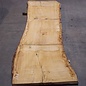 Oak table top, approx. 3150 x 840 x 80 mm, 13624