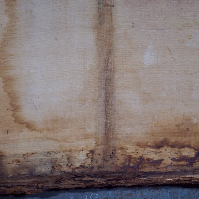 Eiche Tischplatte, ca. 3150 x 840 x 80 mm, 13624