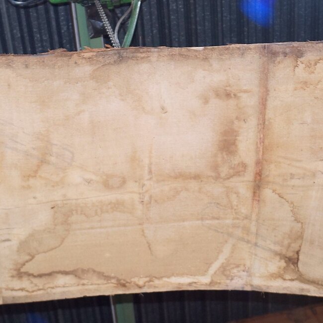 Oak table top, approx. 3150 x 840 x 80 mm, 13624