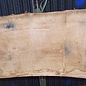 Oak table top, approx. 3150 x 760 x 80 mm, 13625