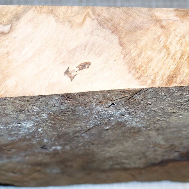 Amboina Maser, ca. 255 x 255 x 55-80 mm, 3,3 kg