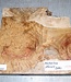 Amboina Maser, ca. 300 x 300 x 36-52 mm, 3,3 kg