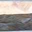 Amboina Maser, ca. 300 x 300 x 36-52 mm, 3,3 kg