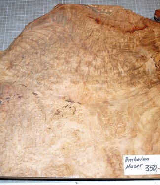 Amboina Maser, ca. 400 x 400 x 30-35 mm, 4,4 kg