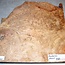 Amboyna Burl, approx. 400 x 400 x 30-35 mm, 4,4 kg