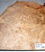 Amboyna Burl, approx. 400 x 400 x 30-35 mm, 4,4 kg