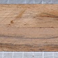 Bocote knife handle, approx. 30 x 40 x 150 mm, 0,2 kg