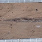 Ziricote knife handle, approx. 40 x 40 x 120 mm, 0,2 kg