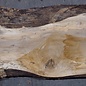 Europ. Walnut board, approx. 1300 x 440 x 52 mm, 13593