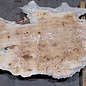 Pappel Maser Bohle, ca. 1900 x 630 x 55 mm, 13588