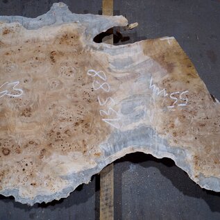 Poplar burl board, approx. 1900 x 630 x 55 mm, 13588