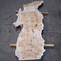Pappel Maser Bohle, ca. 1900 x 630 x 55 mm, 13588