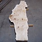 Poplar burl board, approx. 3100 x 760 x 70 mm, 13583