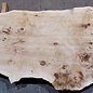 Poplar burl board, approx. 3100 x 760 x 70 mm, 13583