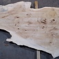 Poplar burl board, approx. 3100 x 760 x 70 mm, 13583