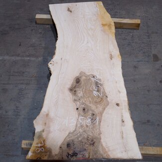 Olivesche Bohle, ca. 1550 x 560 x 42 mm, 13581