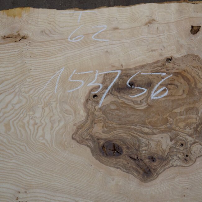 Olive ash board, approx. 1550 x 560 x 42 mm, 13581