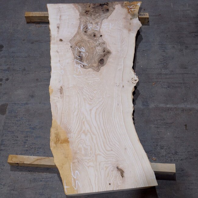 Olivesche, ca. 1550 x 560 x 42 mm, 13581