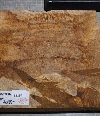 Amboina Maser, ca. 325 x 325 x 40-65mm