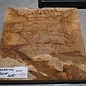 Amboyna Burl, approx. 325 x 325 x 40-65mm