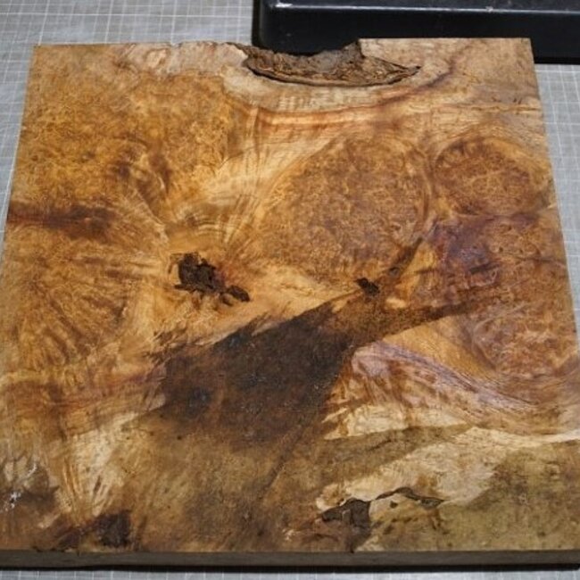 Amboina Maser, ca. 325 x 325 x 40-65mm