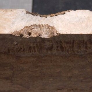 Amboina Maser, ca. 325 x 325 x 40-65mm