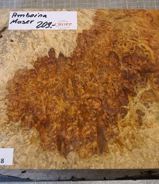 Amboina Maser, ca. 256 x 254 x 41-48mm, 2,26kg