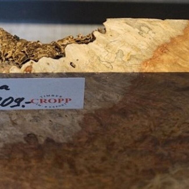 Amboina Maser, ca. 256 x 254 x 41-48mm, 2,26kg