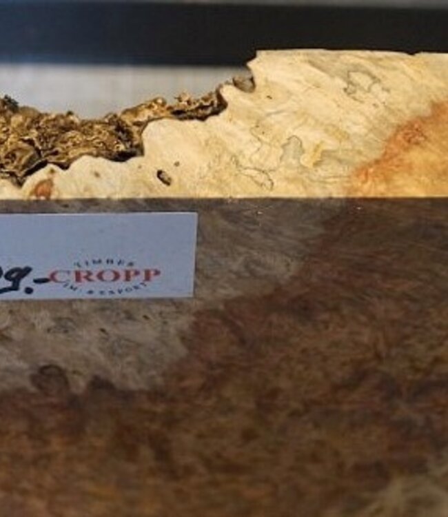 Amboina Maser, ca. 256 x 254 x 41-48mm, 2,26kg