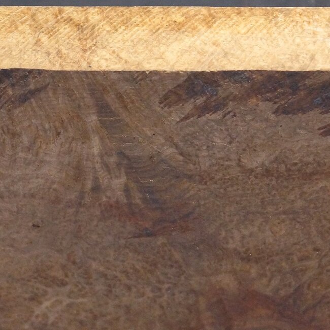 Amboina Maser, ca. 470 x 303 x 44-65mm, 6,32kg