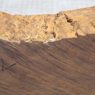 Thuya burl, approx. 270 x 165 x 45mm, 1,3kg