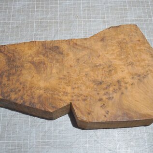 Thuja Maser, ca. 335 x 130-180 x 47mm, 1,86kg