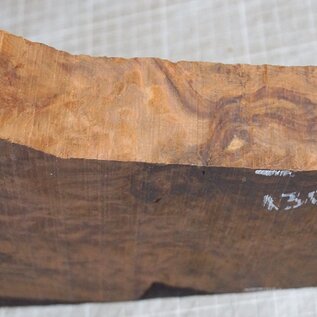 Thuja Maser, ca. 335 x 130-180 x 47mm, 1,86kg