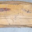Brazilian Tulipwood, approx. 710 x 165 x 70-80mm, 9,1kg