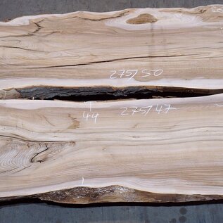 Dutch elm table top pair, approx. 2x 2750 x 470 x 50 mm, 13605a+b
