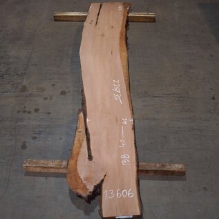 Birnbaum Bohle, ca. 2350 x 350 x 40 mm, 13606