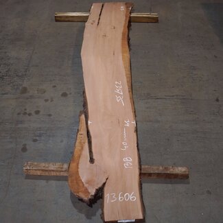 Pearwood, approx. 2350 x 350 x 40 mm, 13606