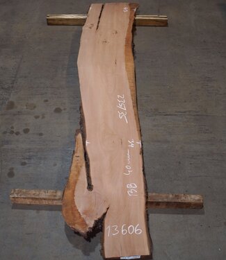 Pearwood, approx. 2350 x 350 x 40 mm, 13606