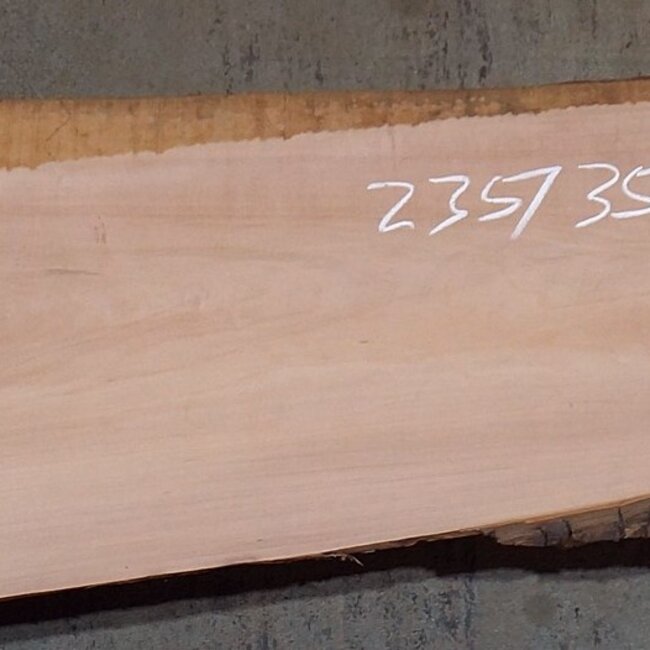Pearwood, approx. 2350 x 350 x 40 mm, 13606