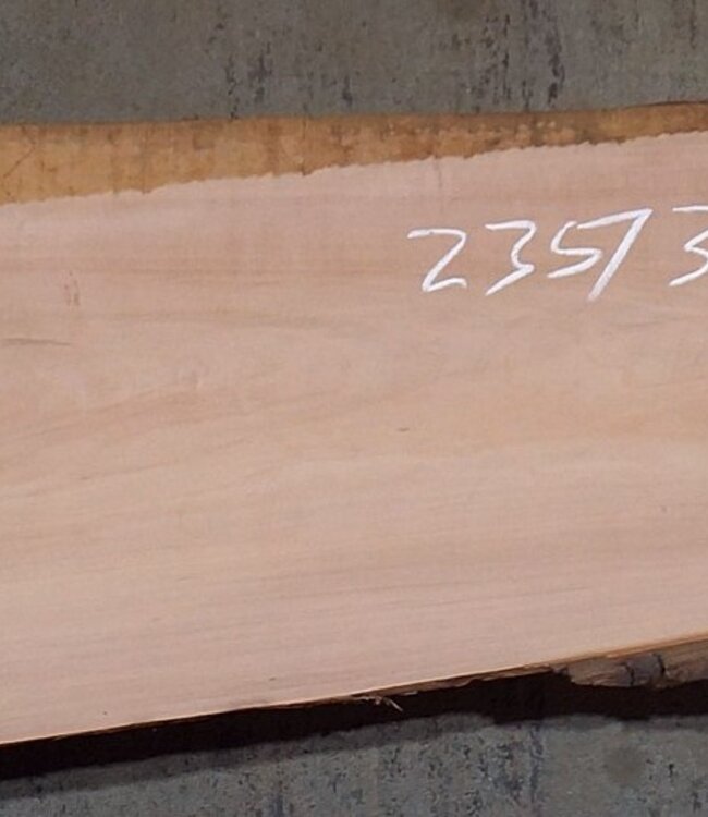 Birnbaum Bohle, ca. 2350 x 350 x 40 mm, 13606