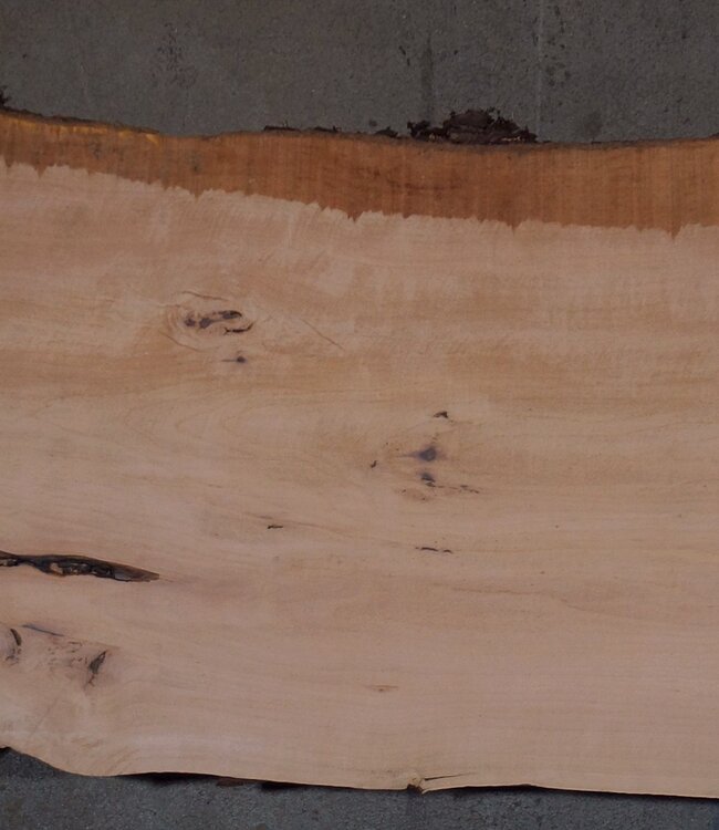 Birnbaum Bohle, ca. 2350 x 350 x 40 mm, 13606