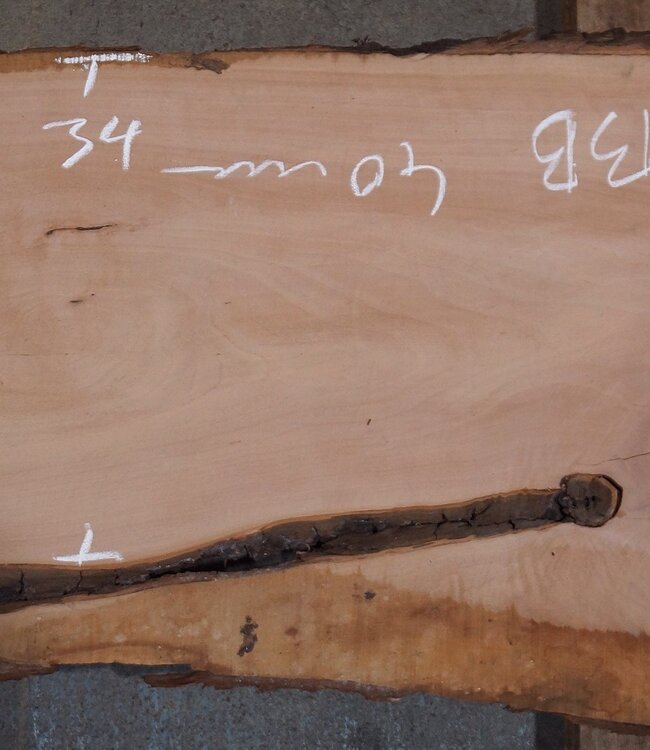 Birnbaum Bohle, ca. 2350 x 350 x 40 mm, 13606