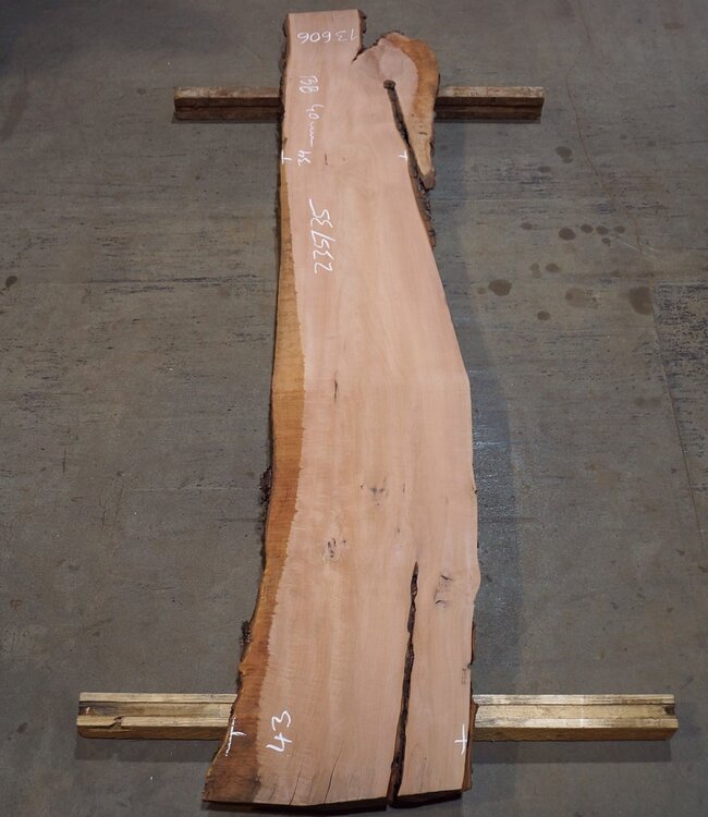 Birnbaum Bohle, ca. 2350 x 350 x 40 mm, 13606