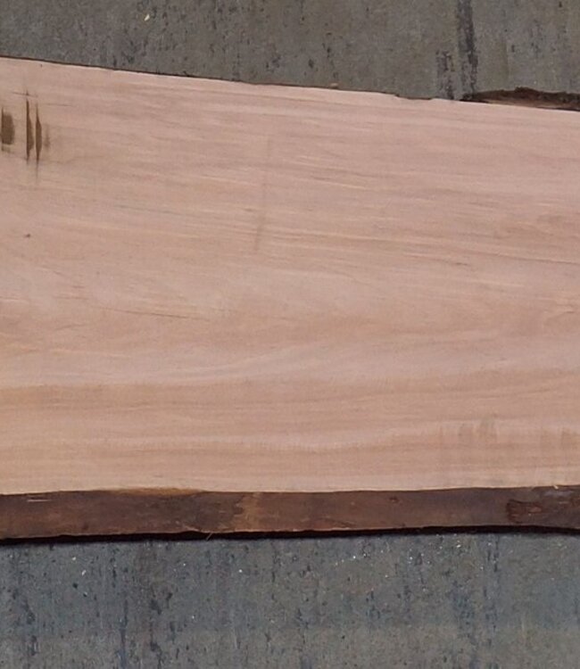 Birnbaum Bohle, ca. 2350 x 350 x 40 mm, 13606