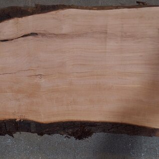 Birnbaum Bohle, ca. 2350 x 350 x 40 mm, 13606