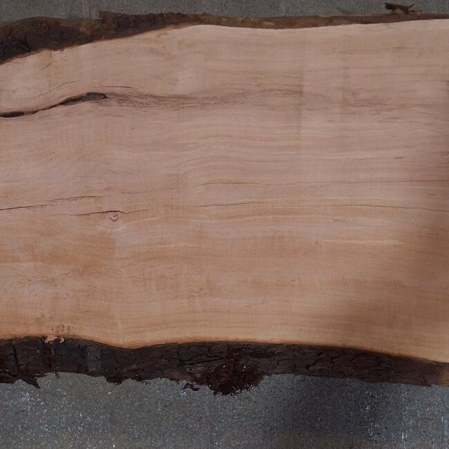 Birnbaum Bohle, ca. 2350 x 350 x 40 mm, 13606