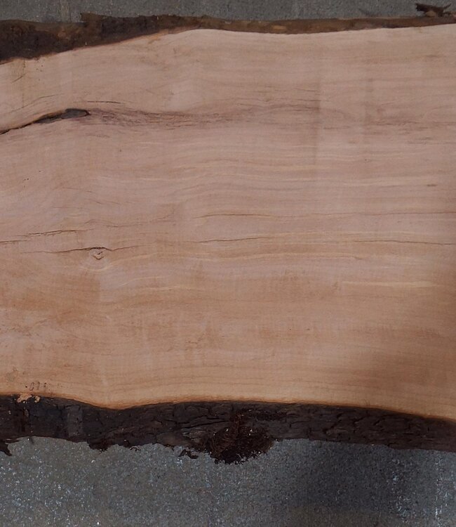 Birnbaum Bohle, ca. 2350 x 350 x 40 mm, 13606